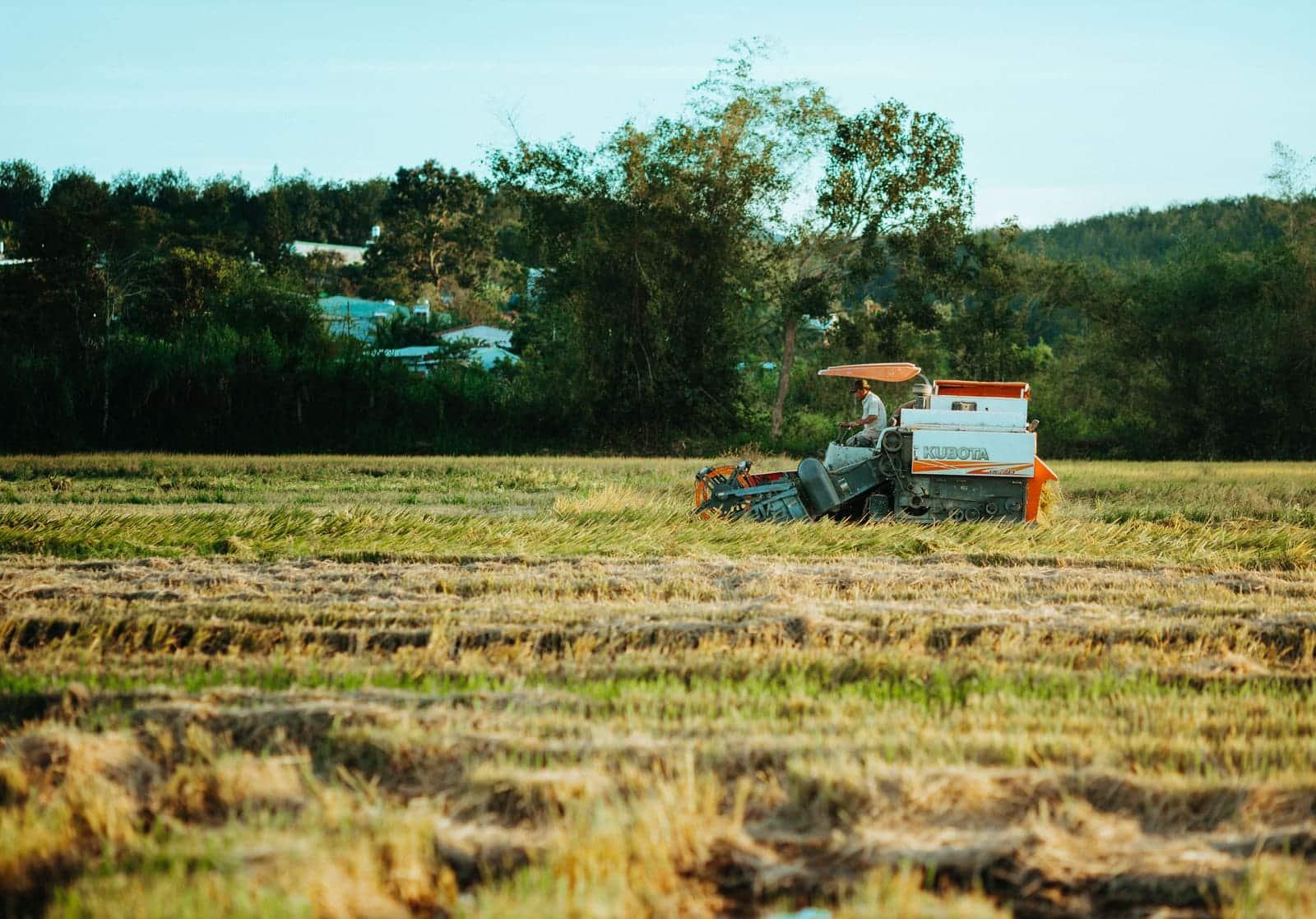A tractor working a field of crops.