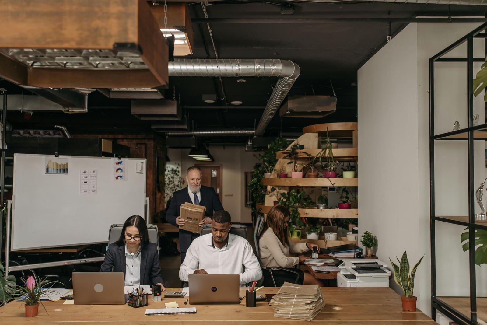 A small business team working together in an open-plan office