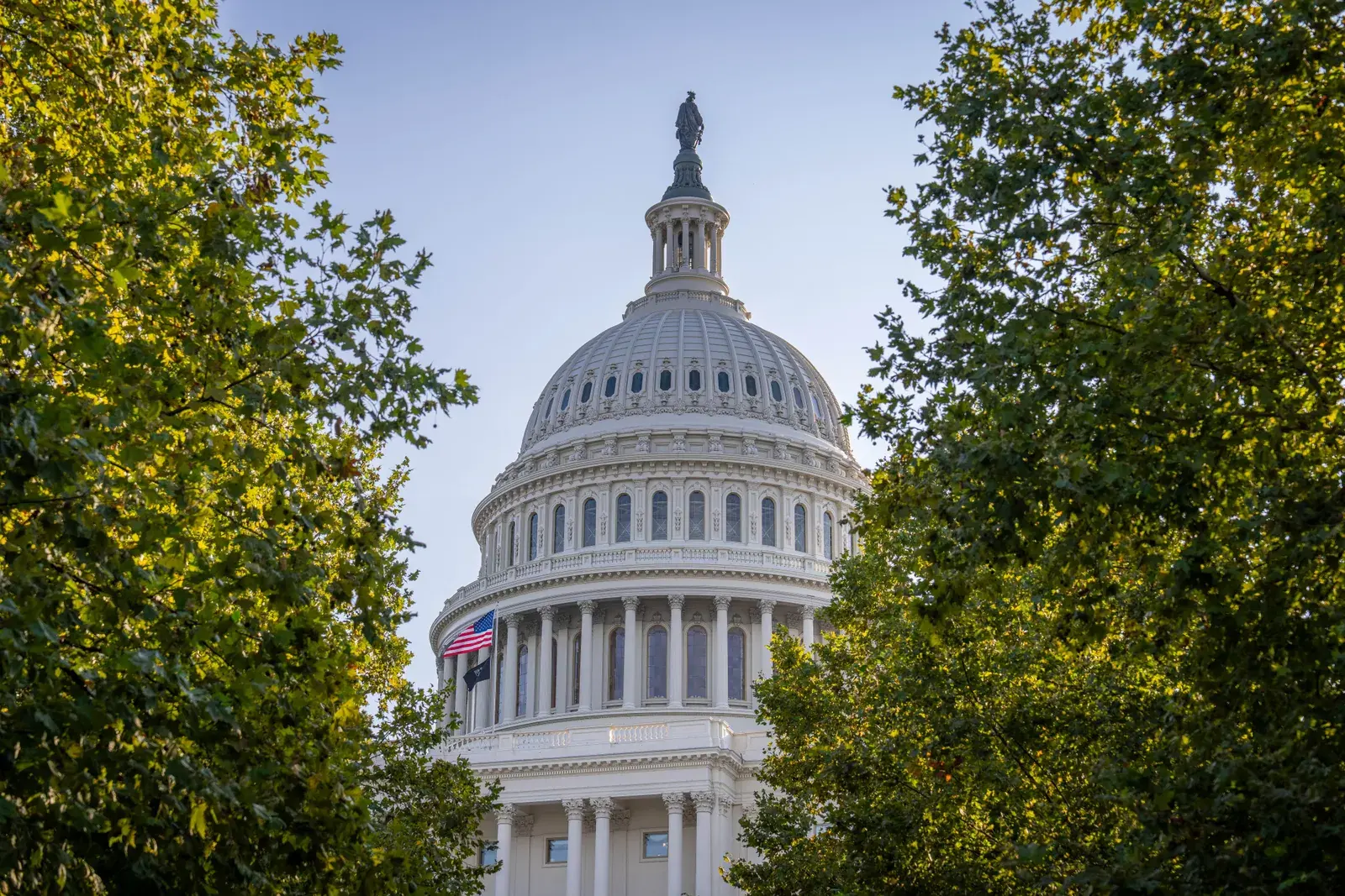 The United States Capitol dome framed by green trees in warm late day light